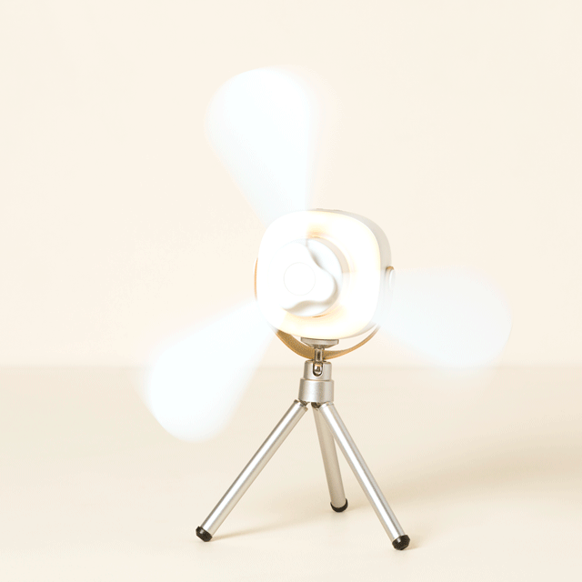 Three Blade Portable Fan with Adjustable Speed Settings