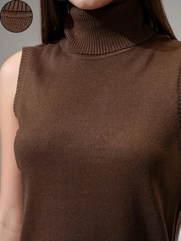 Women’s Brown Solid Fitted Bodycon Dress